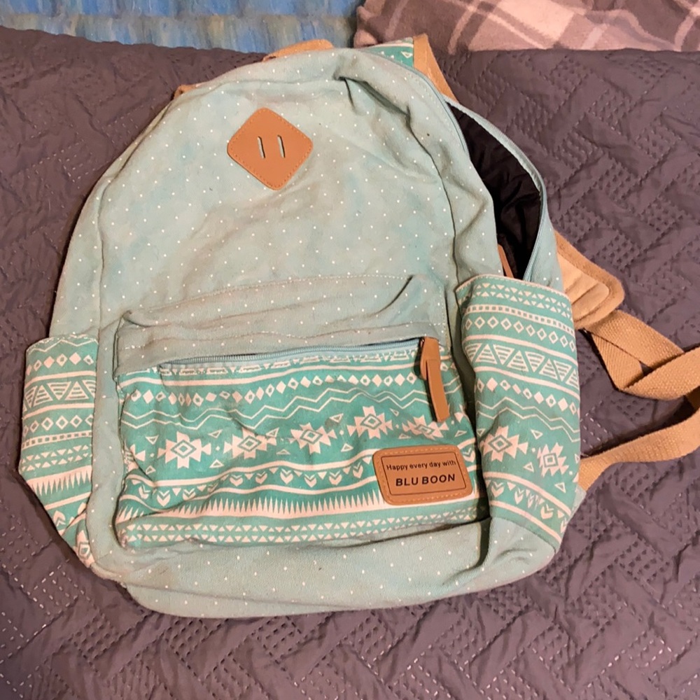 Gently used Blu Boon real backpack.